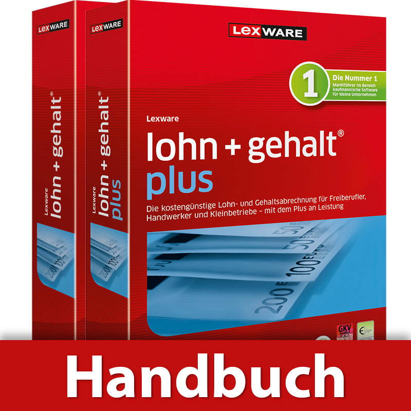 Handbuch für Lexware lohn und gehalt basis und plus